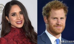 哈利王子和梅根爆料视频,揭秘王室内部爆料视频背后的惊人真相